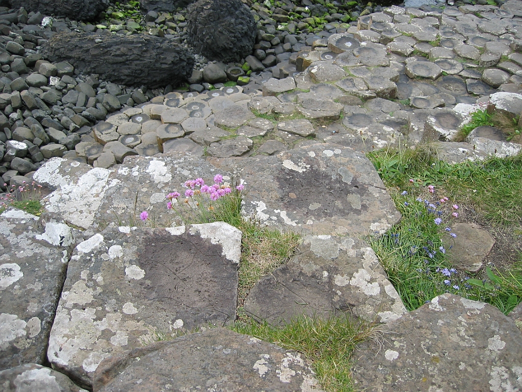 Irlande 106 - Giant's Causeway.jpg
